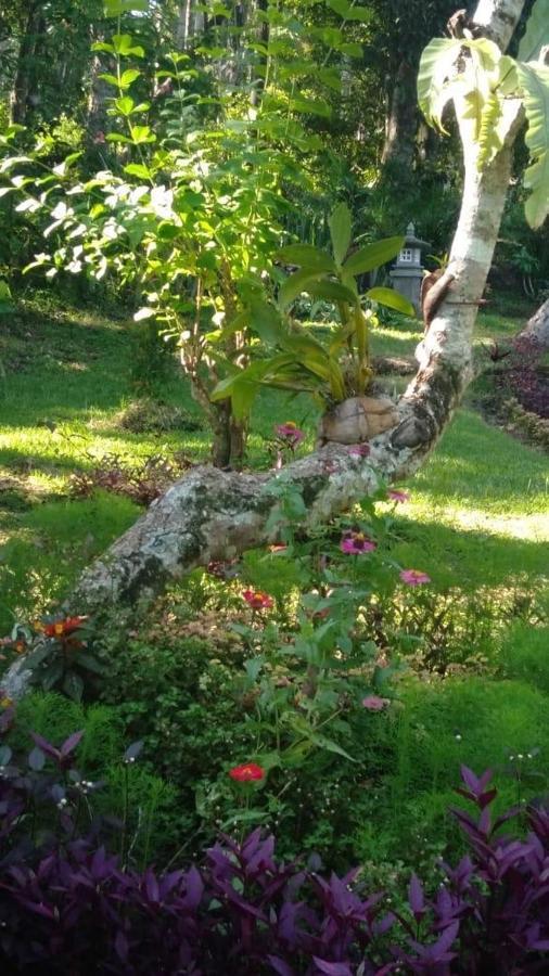 Balian Bliss Retreat Resort - Adults Only エクステリア 写真