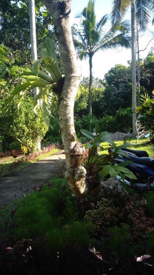 Balian Bliss Retreat Resort - Adults Only エクステリア 写真
